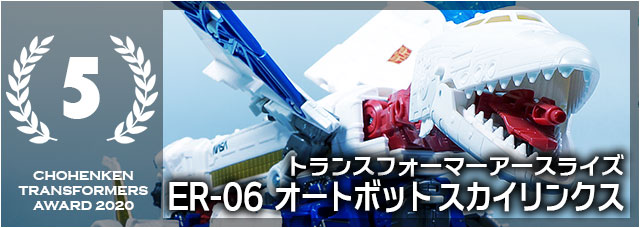 超偏見トランスフォーマーアワード 5位
